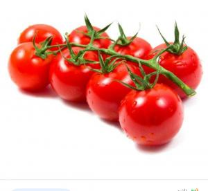 برای مشاهده تصویر بزرگتر کلیک کنید