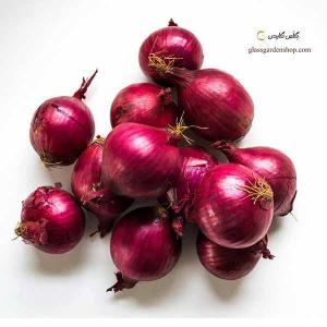 برای مشاهده تصویر بزرگتر کلیک کنید