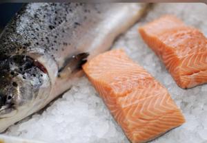 برای مشاهده تصویر بزرگتر کلیک کنید