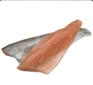 برای مشاهده تصویر بزرگتر کلیک کنید