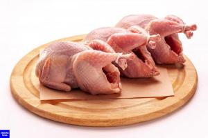 برای مشاهده تصویر بزرگتر کلیک کنید