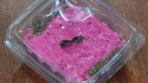 برای مشاهده تصویر بزرگتر کلیک کنید