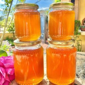 برای مشاهده تصویر بزرگتر کلیک کنید