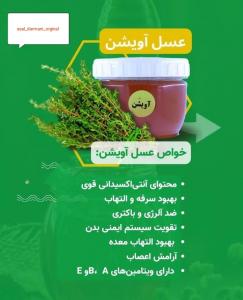 برای مشاهده تصویر بزرگتر کلیک کنید