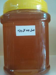 برای مشاهده تصویر بزرگتر کلیک کنید