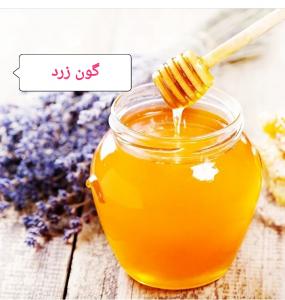 برای مشاهده تصویر بزرگتر کلیک کنید