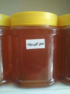 برای مشاهده تصویر بزرگتر کلیک کنید