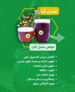 برای مشاهده تصویر بزرگتر کلیک کنید