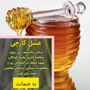 برای مشاهده تصویر بزرگتر کلیک کنید