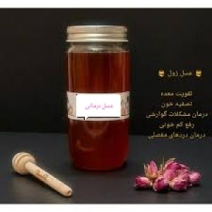 برای مشاهده تصویر بزرگتر کلیک کنید