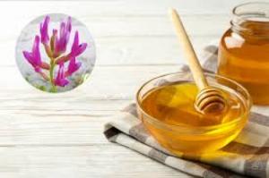 برای مشاهده تصویر بزرگتر کلیک کنید
