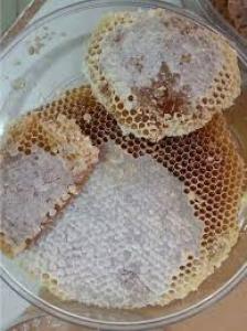 برای مشاهده تصویر بزرگتر کلیک کنید