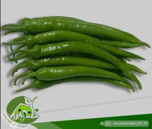 برای مشاهده تصویر بزرگتر کلیک کنید