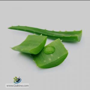 برای مشاهده تصویر بزرگتر کلیک کنید