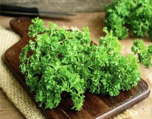 برای مشاهده تصویر بزرگتر کلیک کنید