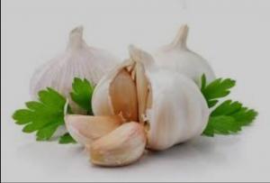 برای مشاهده تصویر بزرگتر کلیک کنید