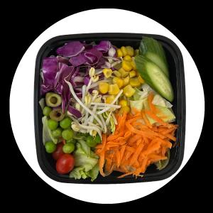 برای مشاهده تصویر بزرگتر کلیک کنید