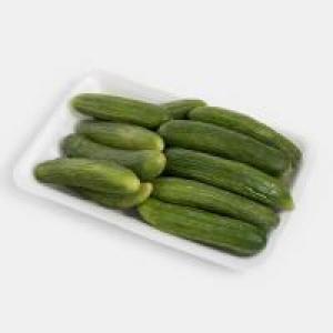 برای مشاهده تصویر بزرگتر کلیک کنید