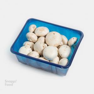 برای مشاهده تصویر بزرگتر کلیک کنید