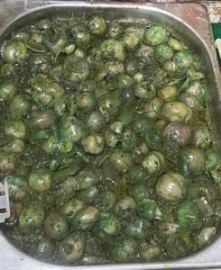 برای مشاهده تصویر بزرگتر کلیک کنید