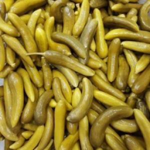 برای مشاهده تصویر بزرگتر کلیک کنید
