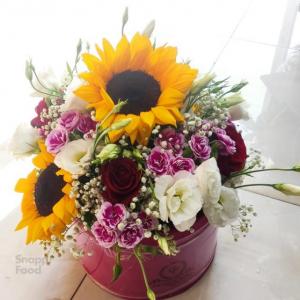 برای مشاهده تصویر بزرگتر کلیک کنید