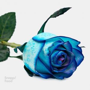 برای مشاهده تصویر بزرگتر کلیک کنید