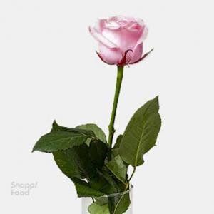برای مشاهده تصویر بزرگتر کلیک کنید