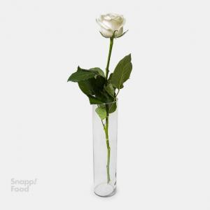 برای مشاهده تصویر بزرگتر کلیک کنید
