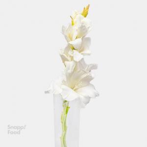 برای مشاهده تصویر بزرگتر کلیک کنید