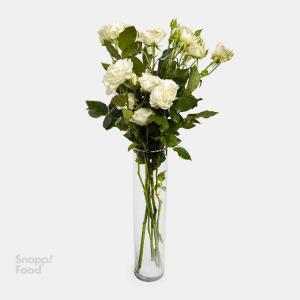 برای مشاهده تصویر بزرگتر کلیک کنید