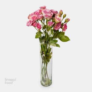 برای مشاهده تصویر بزرگتر کلیک کنید