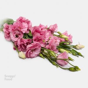برای مشاهده تصویر بزرگتر کلیک کنید