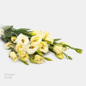 برای مشاهده تصویر بزرگتر کلیک کنید