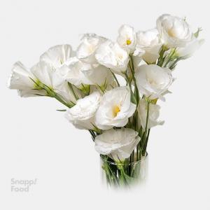 برای مشاهده تصویر بزرگتر کلیک کنید