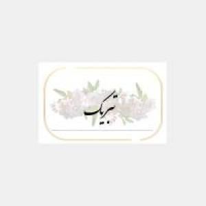 برای مشاهده تصویر بزرگتر کلیک کنید