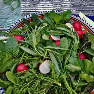 برای مشاهده تصویر بزرگتر کلیک کنید