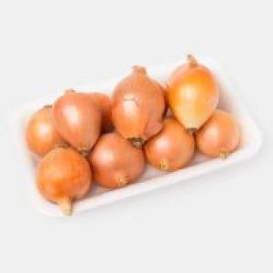 برای مشاهده تصویر بزرگتر کلیک کنید