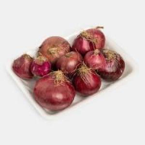 برای مشاهده تصویر بزرگتر کلیک کنید