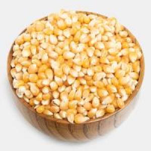 برای مشاهده تصویر بزرگتر کلیک کنید