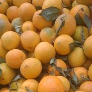 برای مشاهده تصویر بزرگتر کلیک کنید