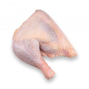 برای مشاهده تصویر بزرگتر کلیک کنید