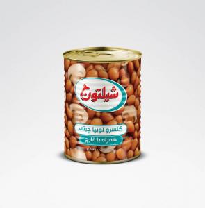 برای مشاهده تصویر بزرگتر کلیک کنید