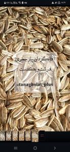 برای مشاهده تصویر بزرگتر کلیک کنید