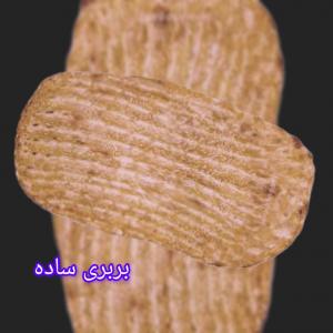برای مشاهده تصویر بزرگتر کلیک کنید