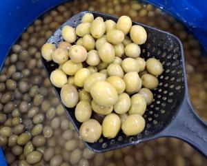 برای مشاهده تصویر بزرگتر کلیک کنید
