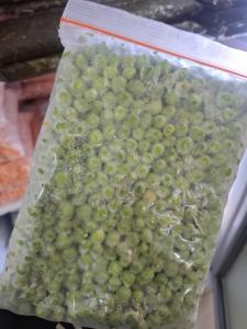 برای مشاهده تصویر بزرگتر کلیک کنید