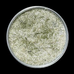 برای مشاهده تصویر بزرگتر کلیک کنید