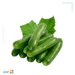 برای مشاهده تصویر بزرگتر کلیک کنید