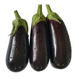 برای مشاهده تصویر بزرگتر کلیک کنید